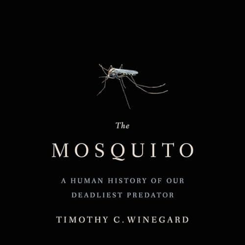 Summary of "The Mosquito"