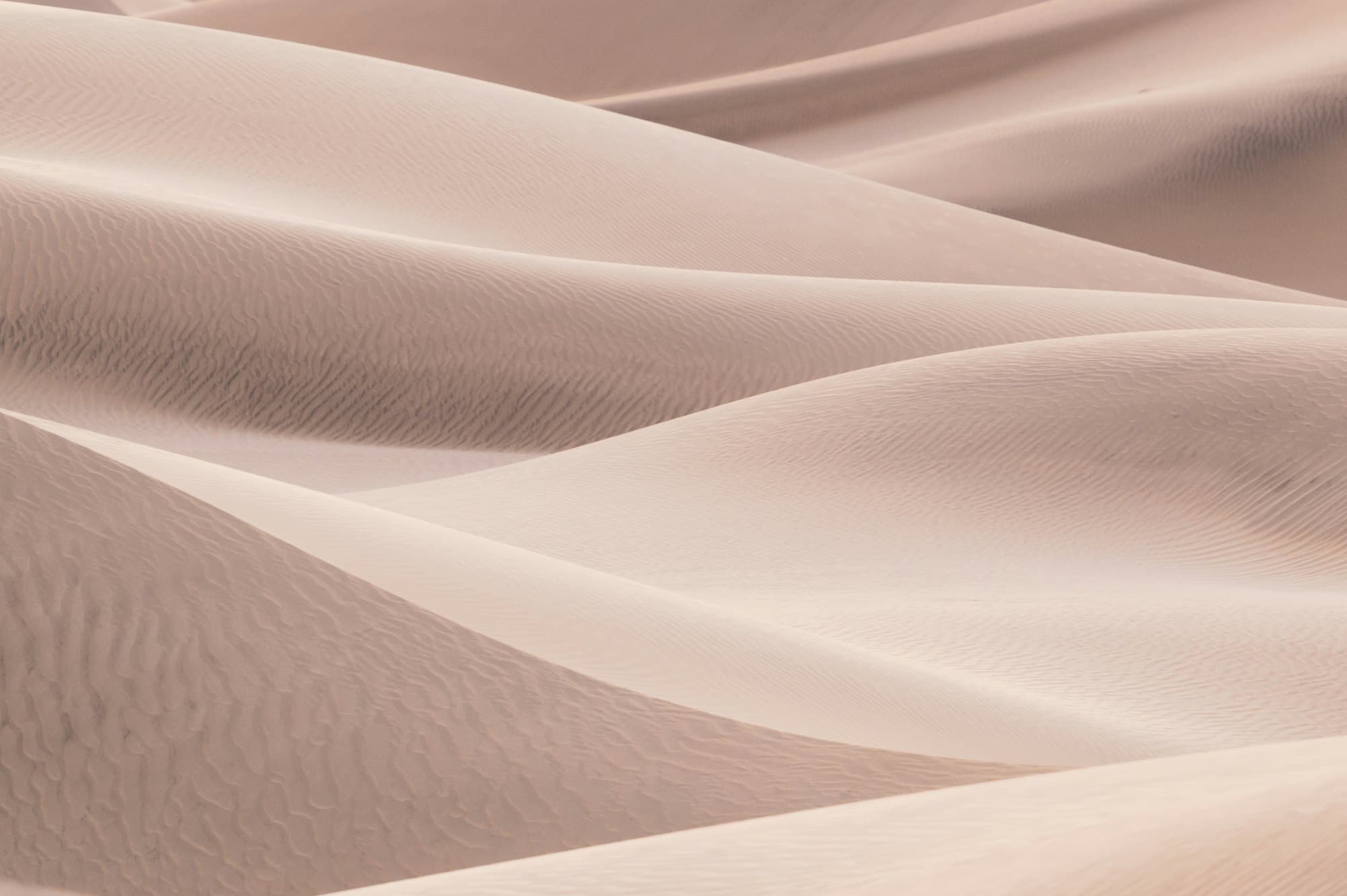 Next.js: Firebase Authentication and Middleware for API Routes
