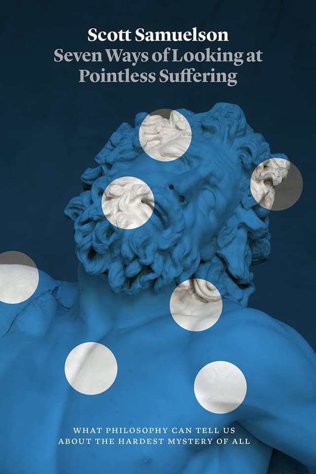 Summary of "Seven Ways of Looking at Pointless Suffering"