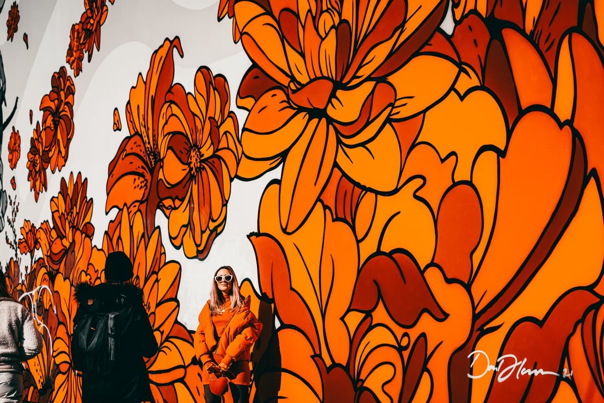 Photography Wallpaper